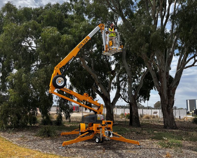 yellow trailer boom inspecting tree